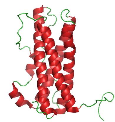 Estrutura prolactina.