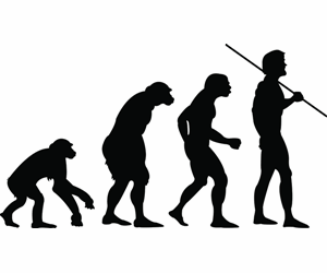 Evolução humana