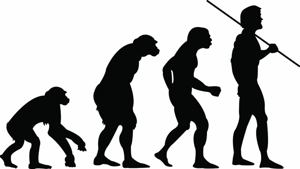 Evolução humana Evolução humana