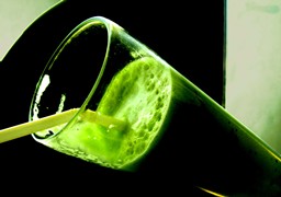Suco verde é também chamado suco da vida, pela presença de grãos germinados que fazem muito bem para sua saúde. (foto: Untitled blue/flickr)
